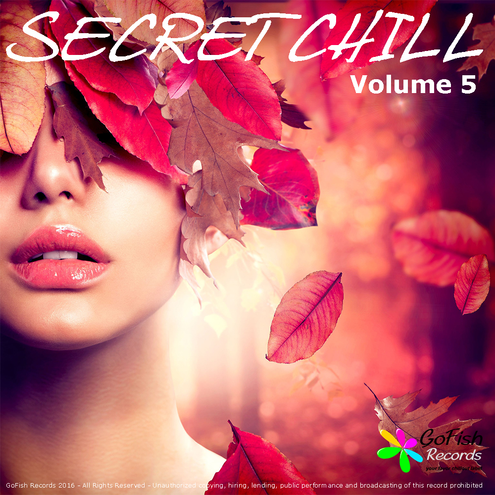 Secret Chill - Vol. 5